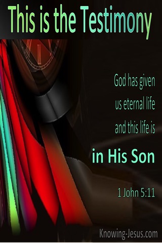 1 John 5:11 God Has Given Us Eternal Life In His Son (windows)10:23